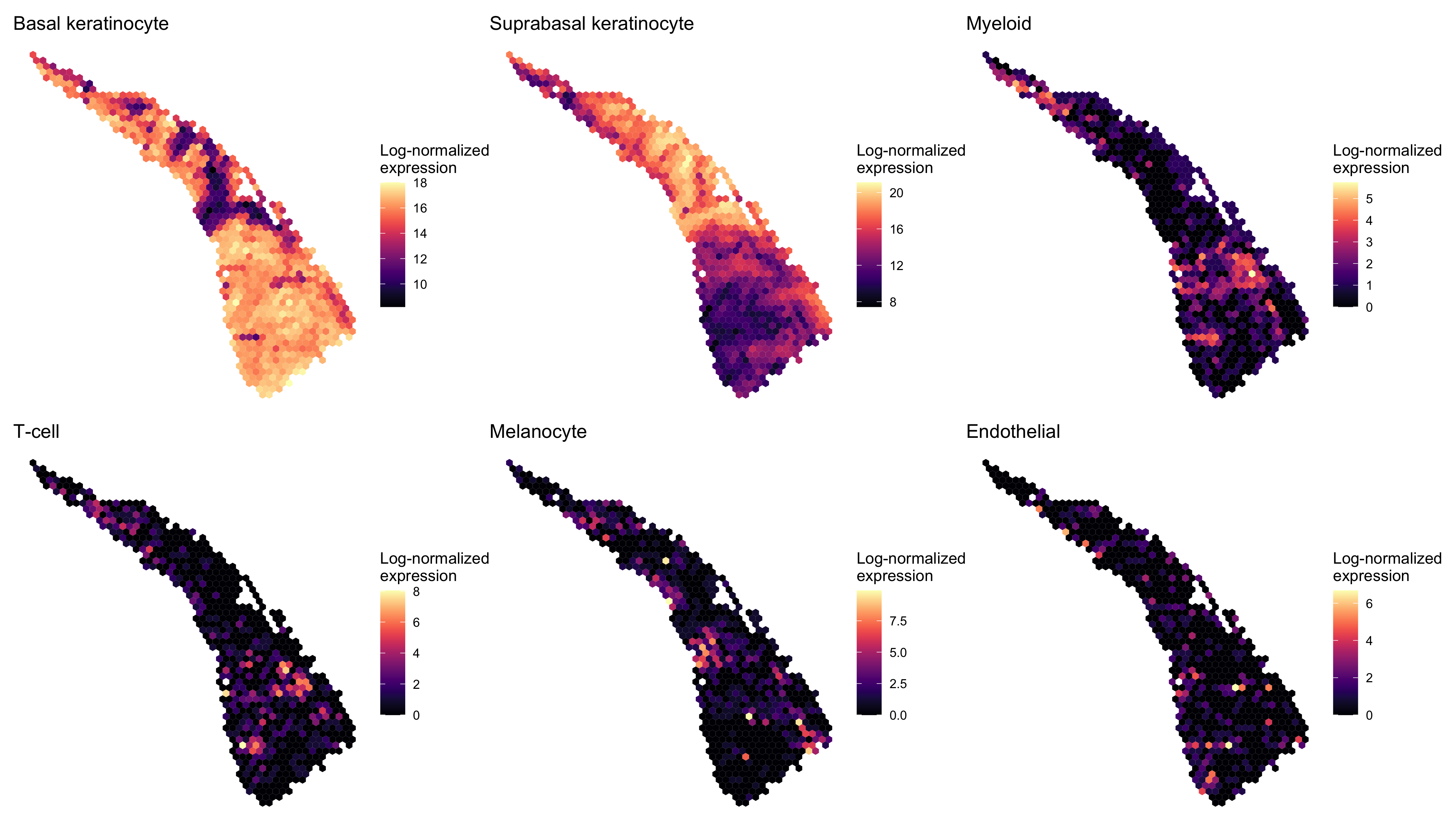 plot of chunk spot.expression