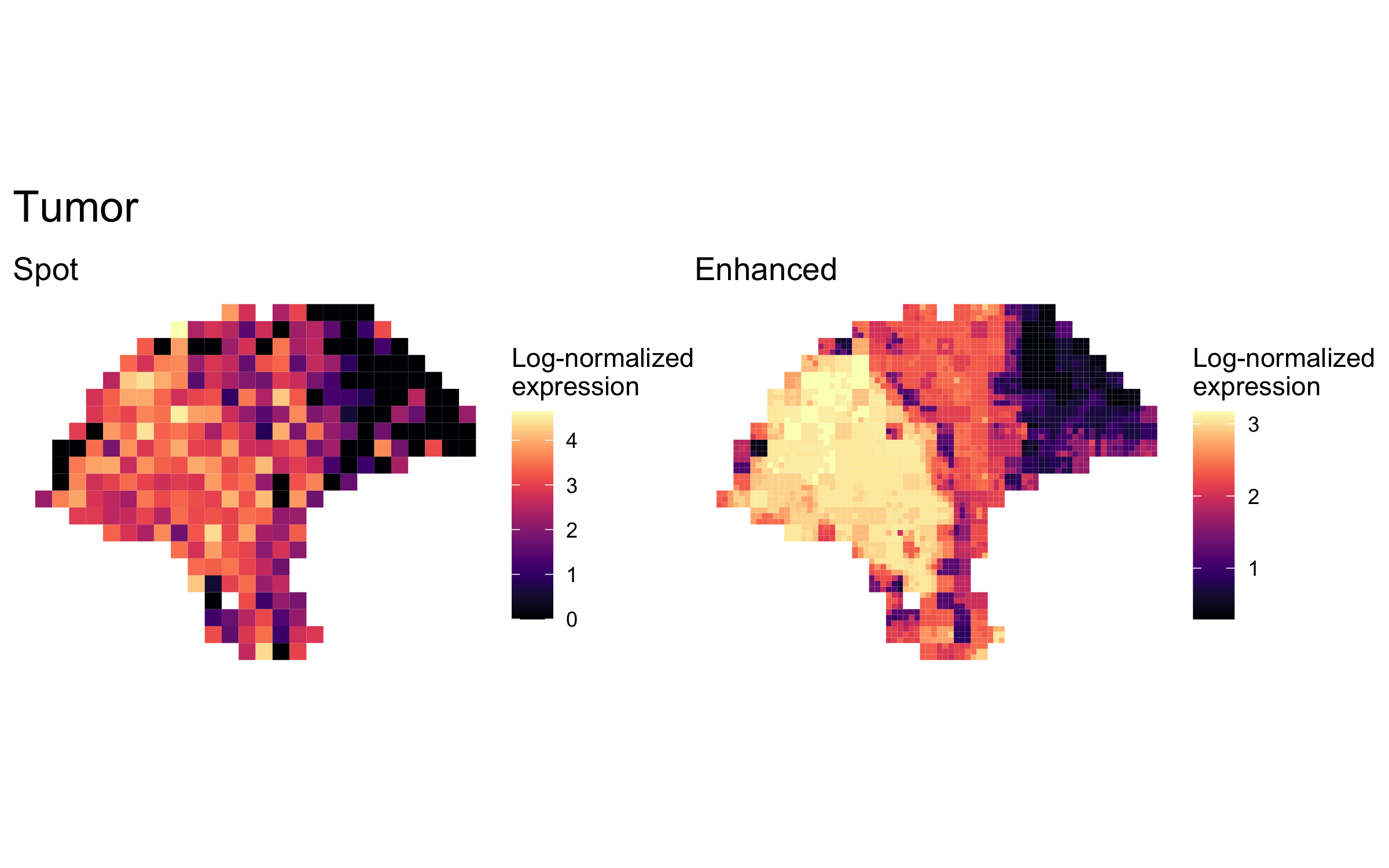 plot of chunk plot.expression_tumor